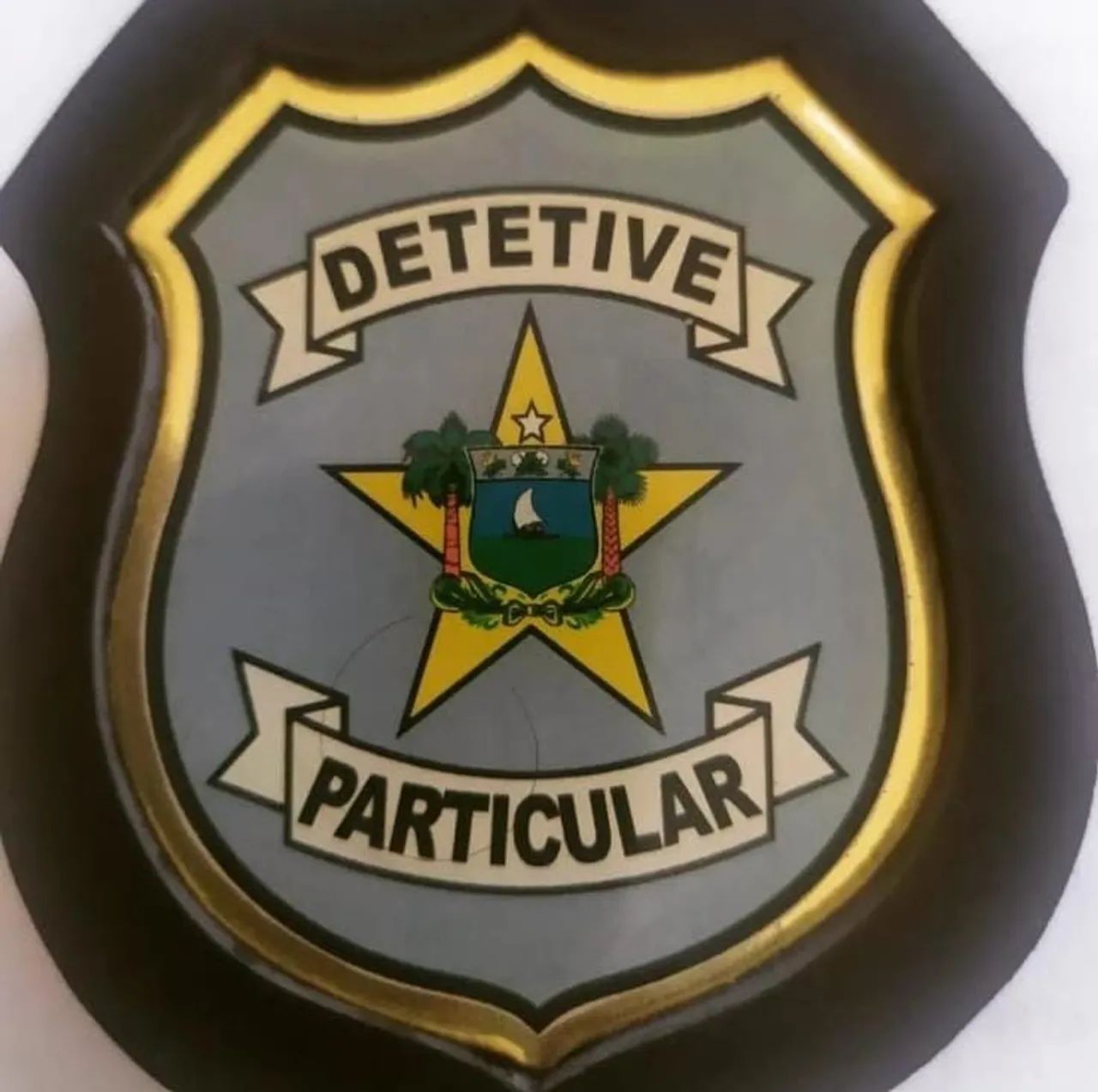 Detetive Particular  - Foto 5