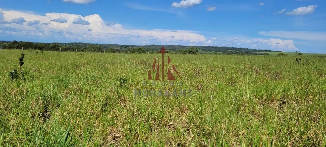FAZENDA - SONORA - MS - Foto 3