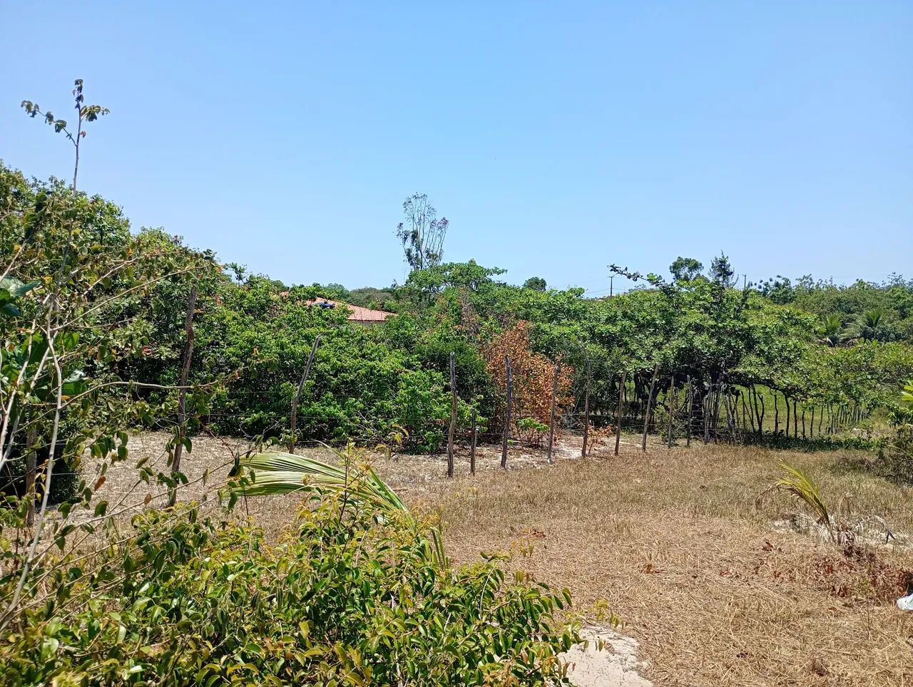 Terreno no Paracuru 