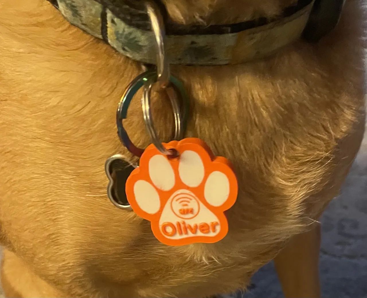 Tag NFC para pets impressa em 3D.
