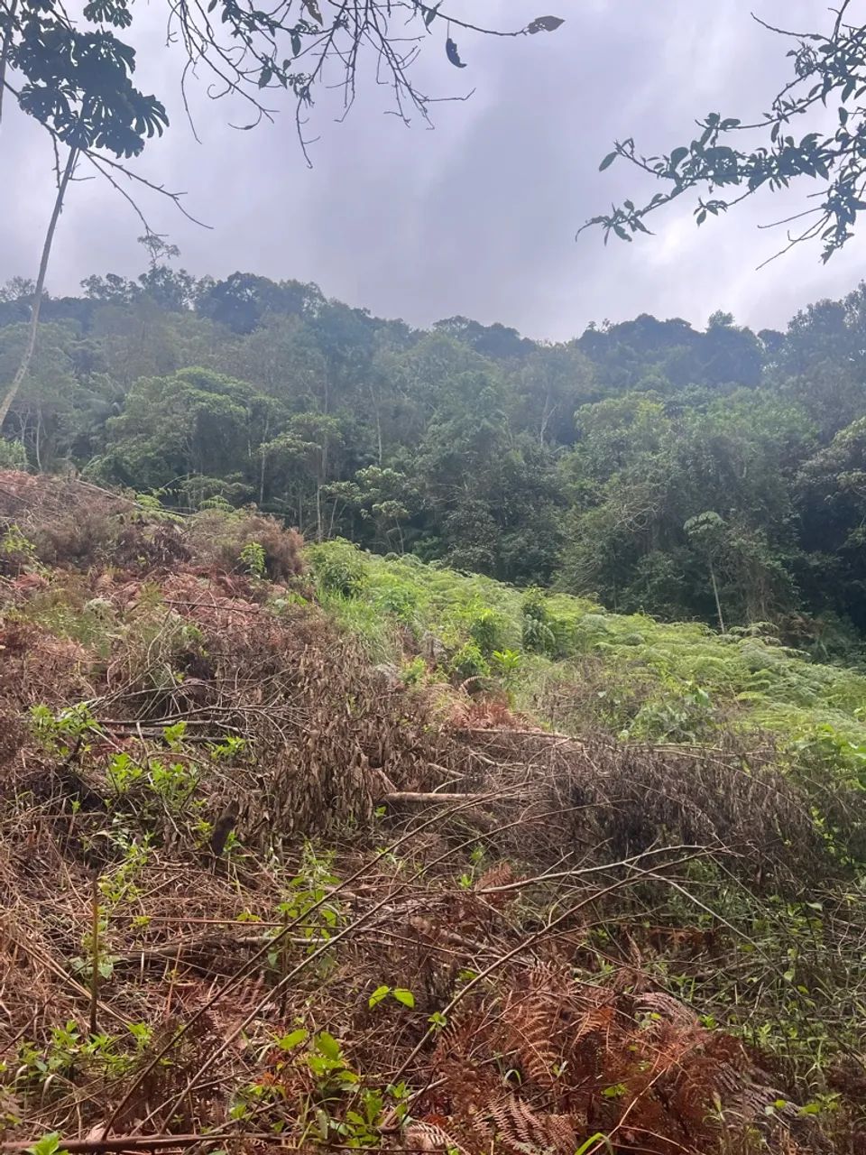 Terreno com rio em Pedra Azul  - Foto 2
