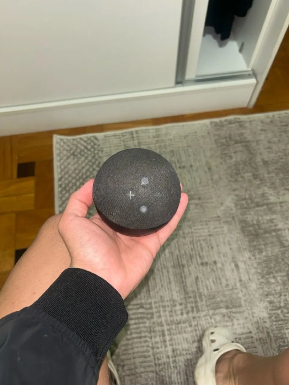 Alexa echo dot