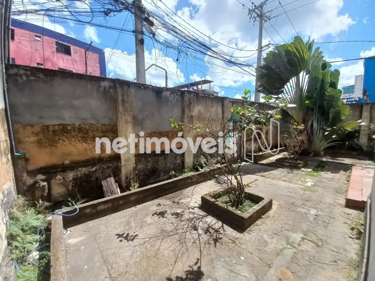 Casa Comercial para Aluguel em Roma ( Cidade Baixa ) - Foto 5