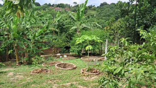 Vendo ótimo sitio em Paudalho - Foto 4