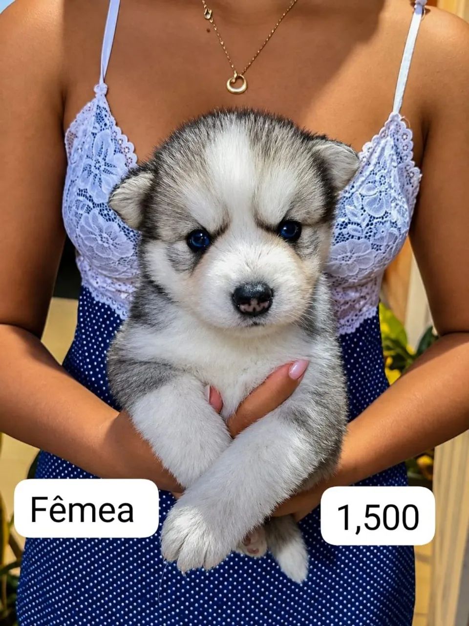 Pra venda - Foto 3