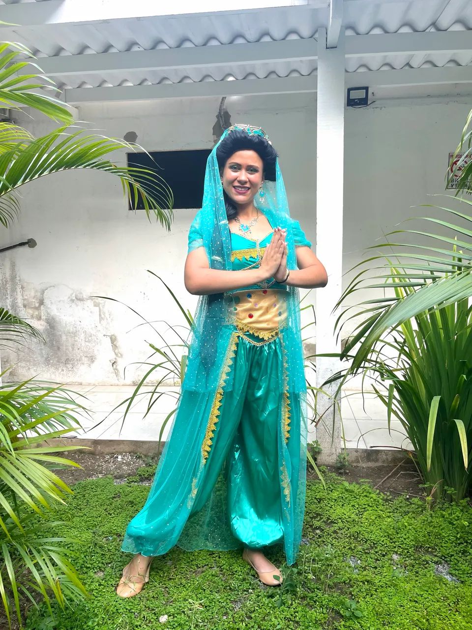 Princesa Jasmine e personagens 