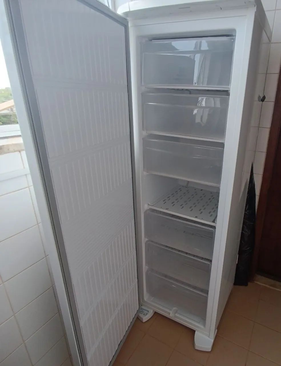 Freezer Vertical Electrolux 