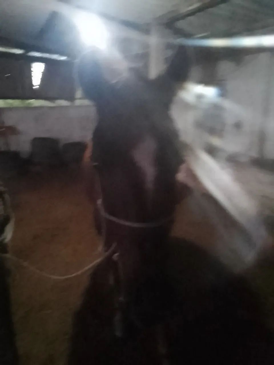 Equa a venda  - Foto 4