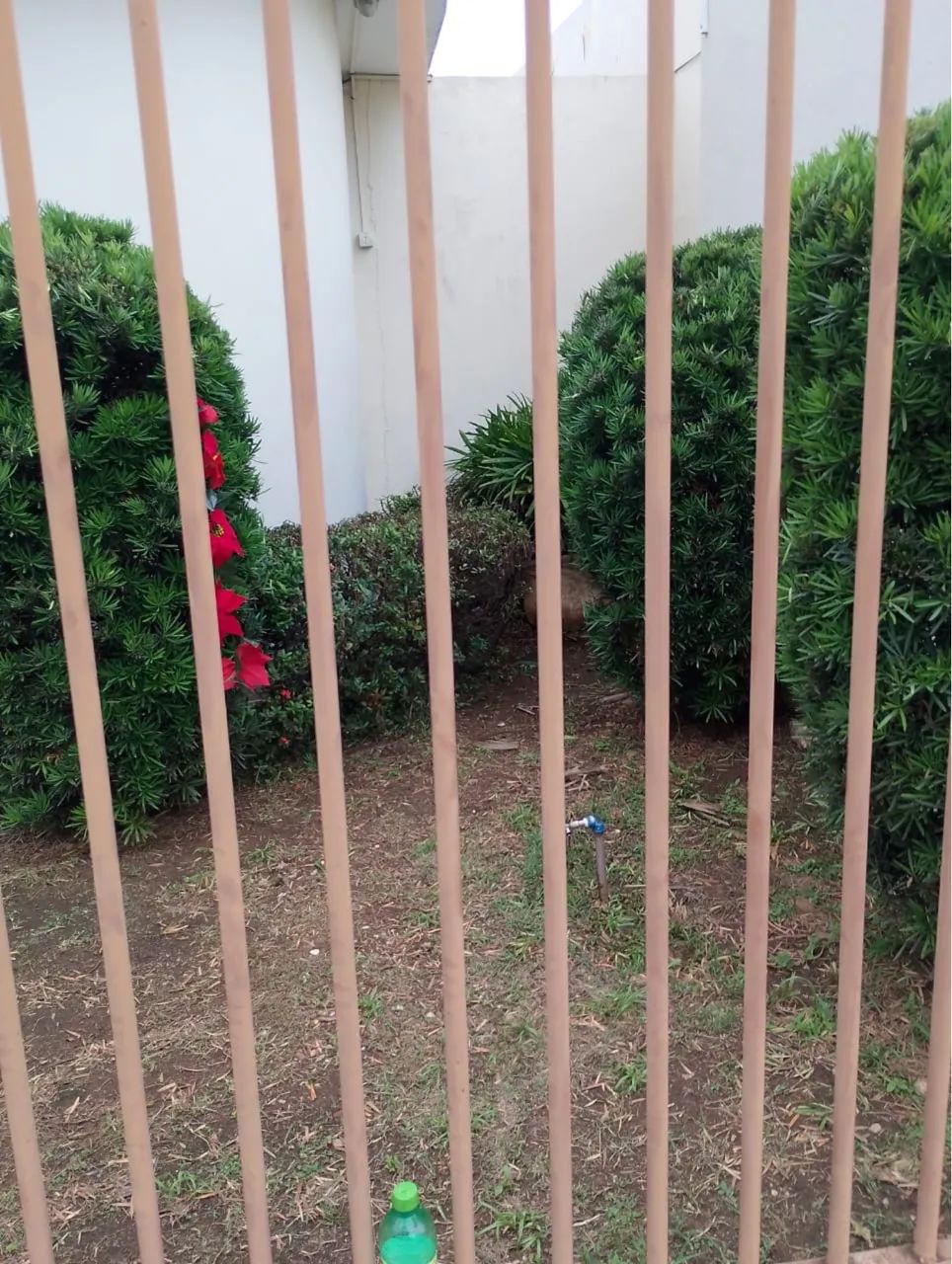 SOUZA SERVIÇOS - Foto 2