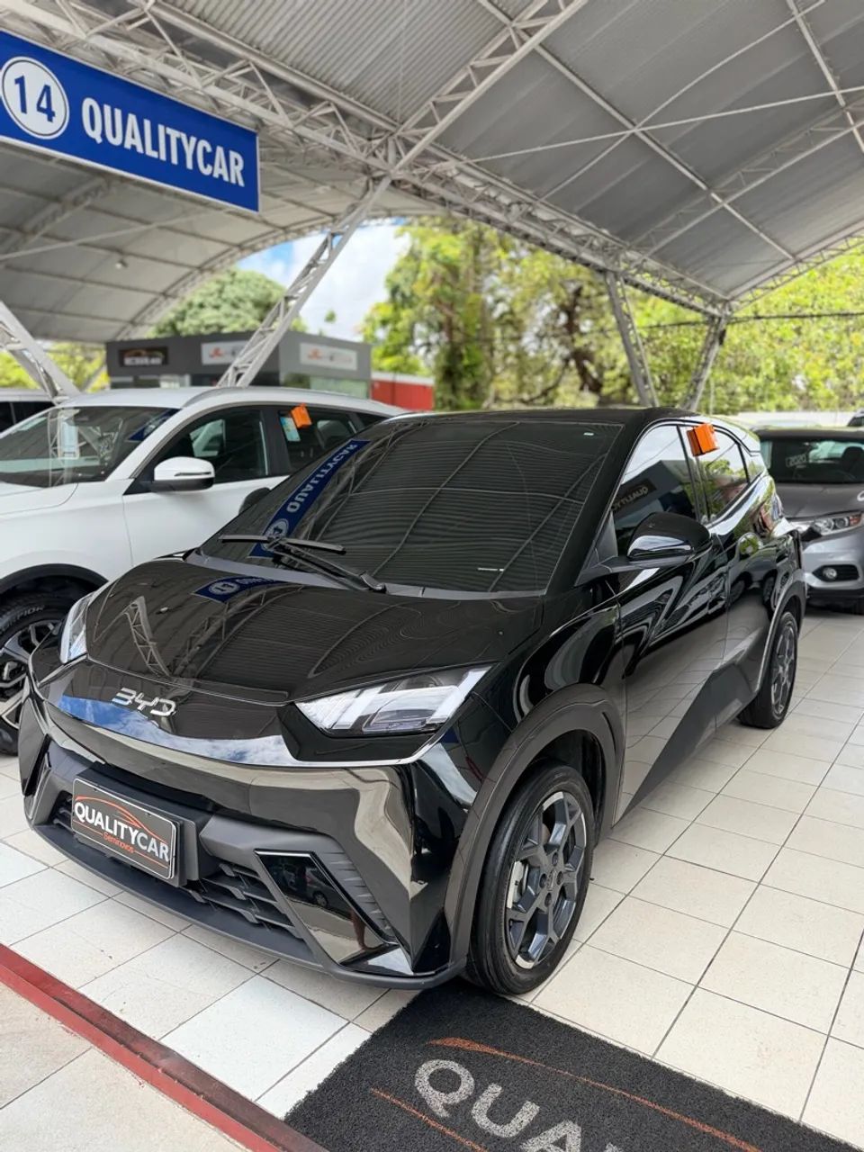 BYD Dolphin Mini GL 2026