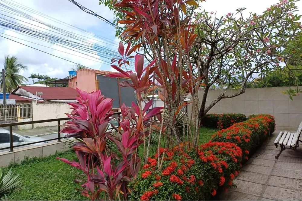 Apartamento em Tejipió - Foto 3