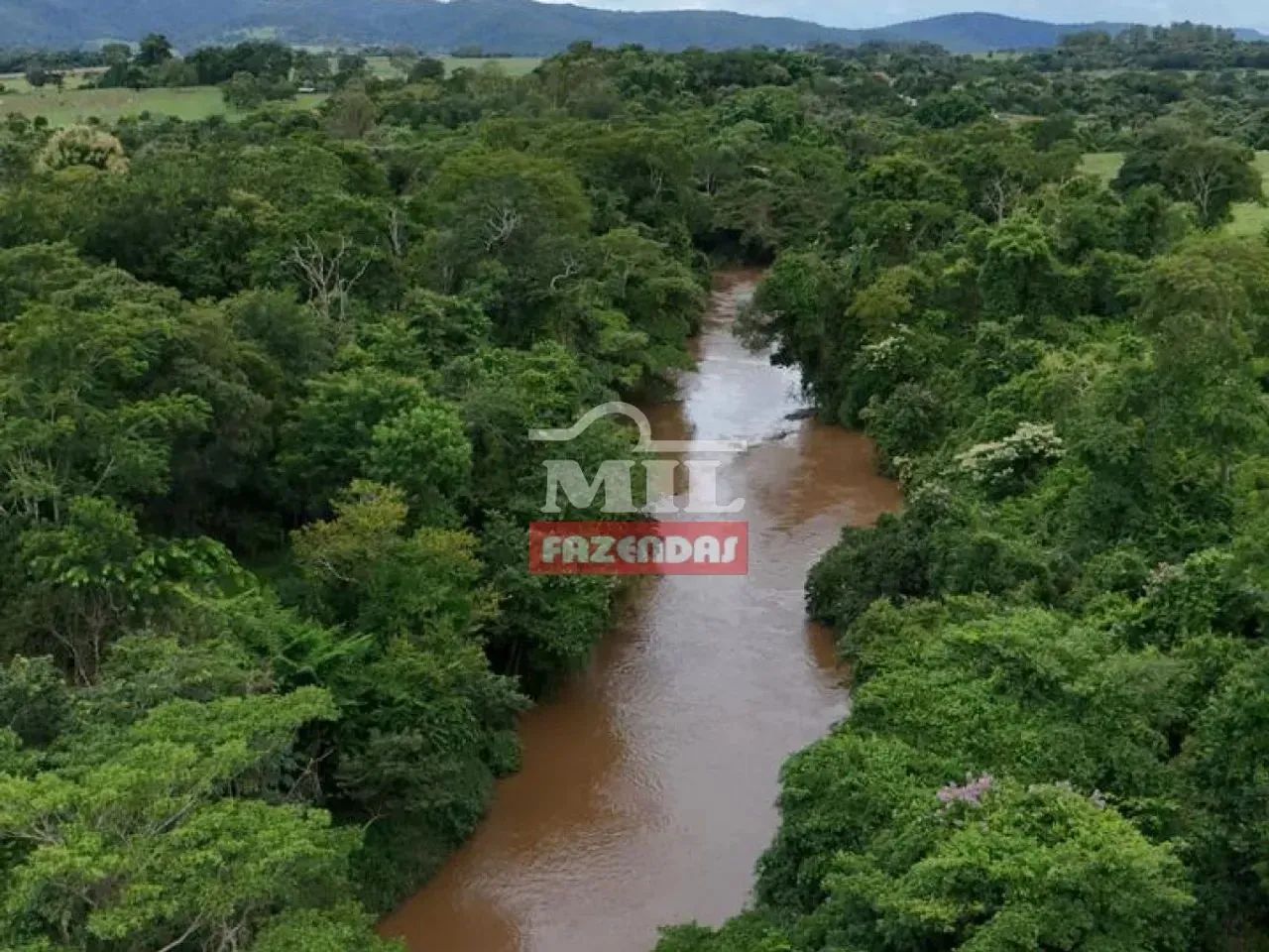 Chácara 3.000M² Itaberaí-GO. - Foto 3