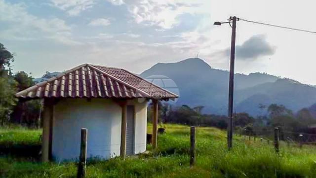 Chácara à venda em Barra do rio molha, Jaraguá do sul cod:149659 - Foto 11