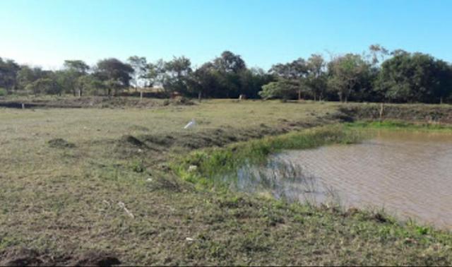 Terreno 500m2 - Foto 12