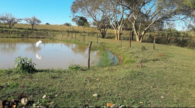 Terreno 500m2 - Foto 4