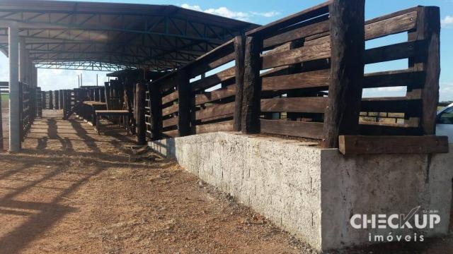 Fazenda à venda, 11.829 ha por R$ 500.000.000 - Zona Rural - Jussara/GO - Foto 19