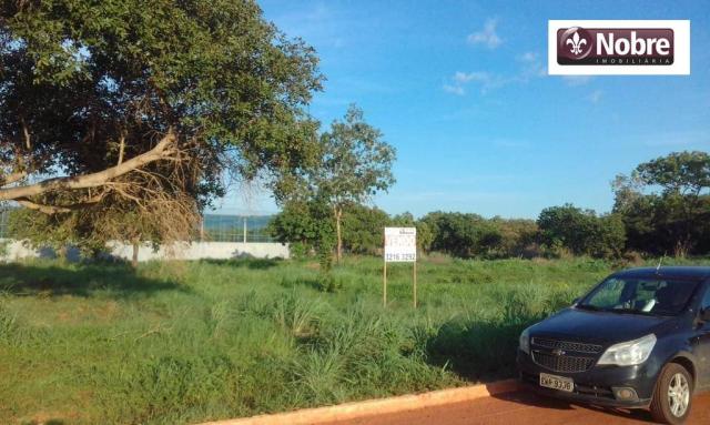 Terreno à venda, 2067 m² por r$ 399.000 - plano diretor norte - palmas/to - Foto 4