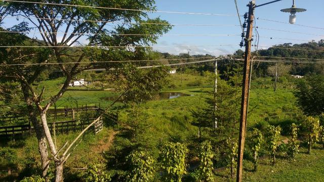 Vendo uma Fazenda - Foto 4