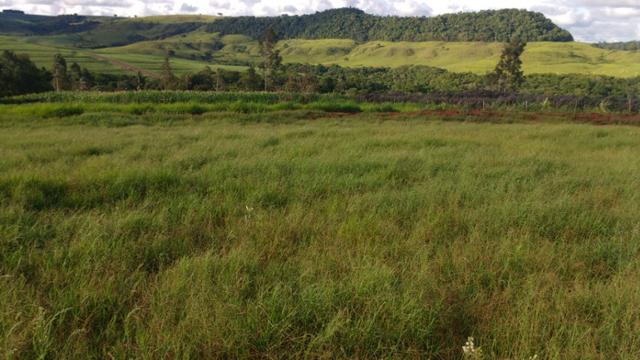 Vila rural em Valinhos , cidade Luiziana - Foto 14