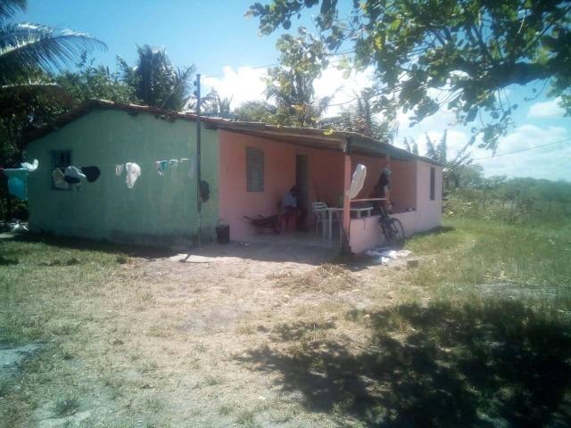 Sitio Ouro achado - Foto 3