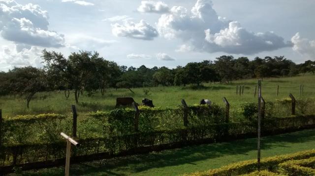 Fazenda de 4 alqueires para pecuária a venda na região de Caldas Novas GO - Foto 7