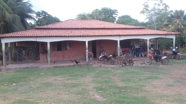 Fazenda do alagoano a venda - Foto 2