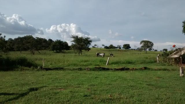 Fazenda de 4 alqueires para pecuária a venda na região de Caldas Novas GO - Foto 5
