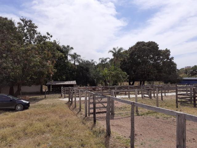 Fazenda 23 Alqueires, Formada, Plana, Terra Cultura, 1,2 Asfalto-Goiánésia - Foto 14