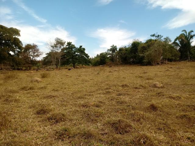 Chácara 30mts por 180 mts - Foto 19
