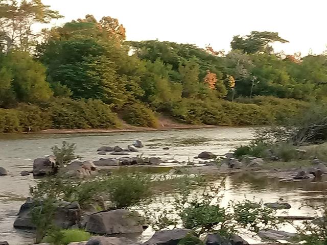 Chácara 30mts por 180 mts - Foto 3