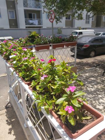 Apartamento Em São José dos Pinhais - Pedro Moro - Foto 4