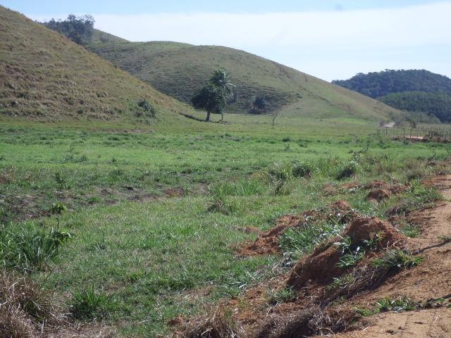 Fazenda de 154 alqueires em Silva Jardim, RJ - Foto 7