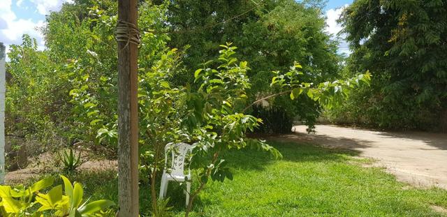 Chácara na Matinha, próximo a entrada de São José - Foto 2