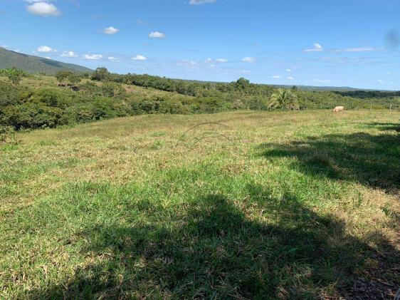 Sítio 70ha região acorizal 60km de cuiabá - Foto 4