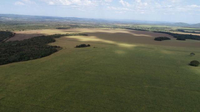 Fazenda em chapada com 970 hectares sendo 300 plantando - Foto 6