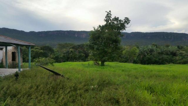 Fazenda em Rosário Oeste-MT 457 hectares boa de argila - Foto 7