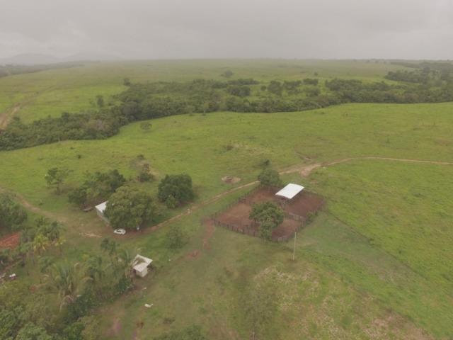 Fazenda no manso/ 700 hectares muito boa de água - Foto 3
