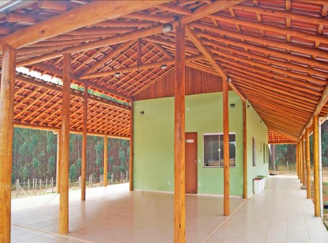 Eucalipto Tratado - 15 anos de garantia - Peças roliças - Foto 3