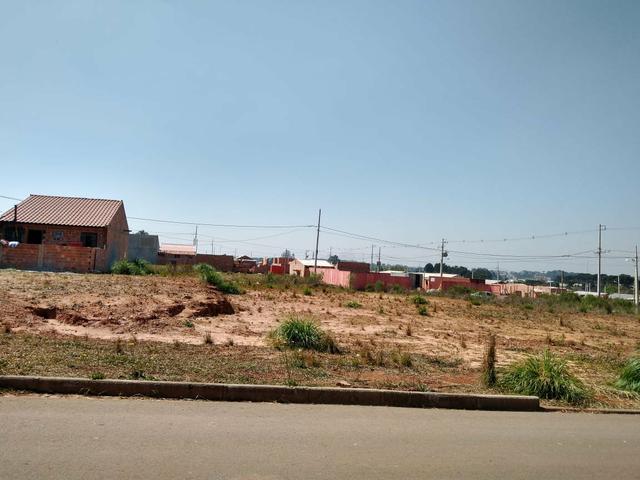Fazenda Rio Grande- terrenos financiados-ent. R$2.450,00- - Foto 13