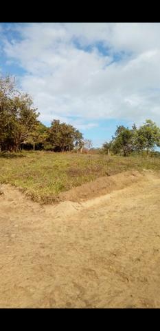 Ilha de Itaparica - Foto 2