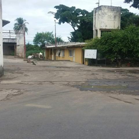 Terreno de 14.000m² com Galpão - Foto 3