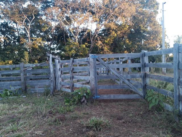 Sitio em Acorizal com 38.2 hectares - Foto 14