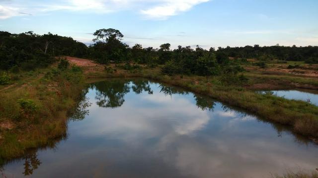Fazenda 320 ha 100 km de Cuiaba - Foto 4