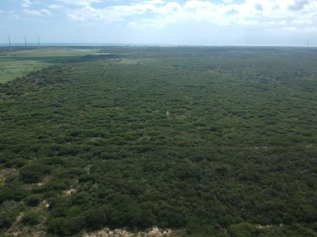Terreno plano de 15 hectares à 4 km do centro - Foto 11
