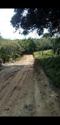 Ilha de Itaparica