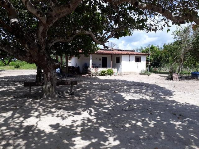 Sítio com 2 hectares - Todo irrigado e produzindo - Foto 5