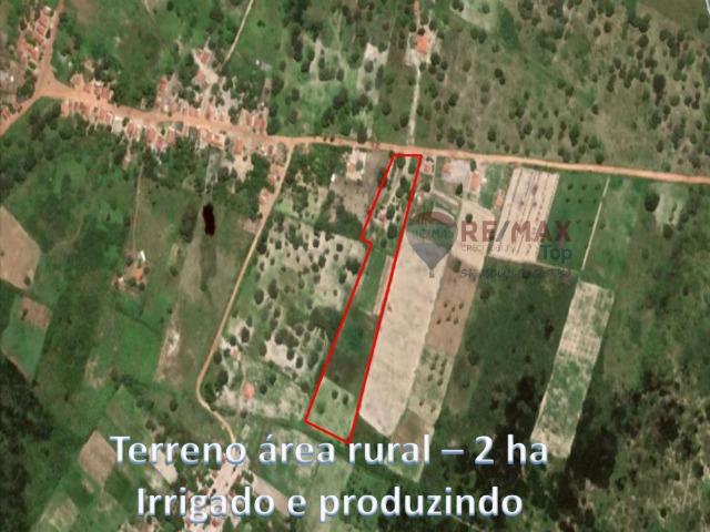 Sítio com 2 hectares - Todo irrigado e produzindo - Foto 2