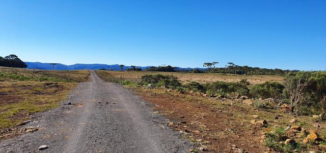 Sítio chácara em Urubici/área rural em Urubici - Foto 4