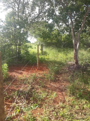 Oportunidade em Várzea da Palma MG vendo excelente chácara!! - Foto 11