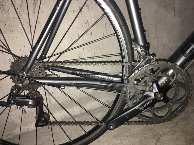 bike speed endorphine fast 20